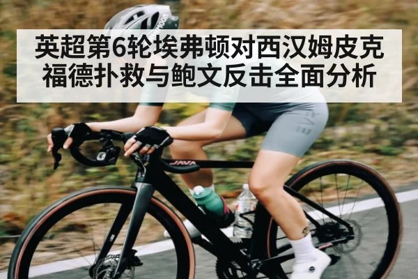 英超第6轮埃弗顿对西汉姆皮克福德扑救与鲍文反击全面分析