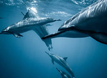 开云体育官网——开启畅享娱乐的新体验